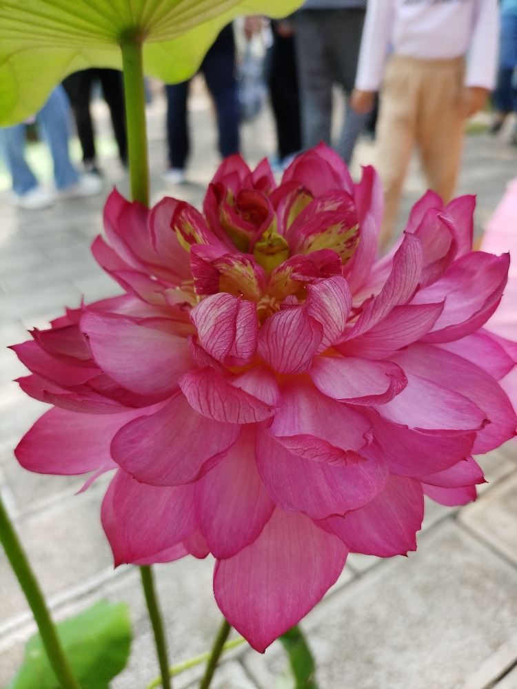 图片关键词