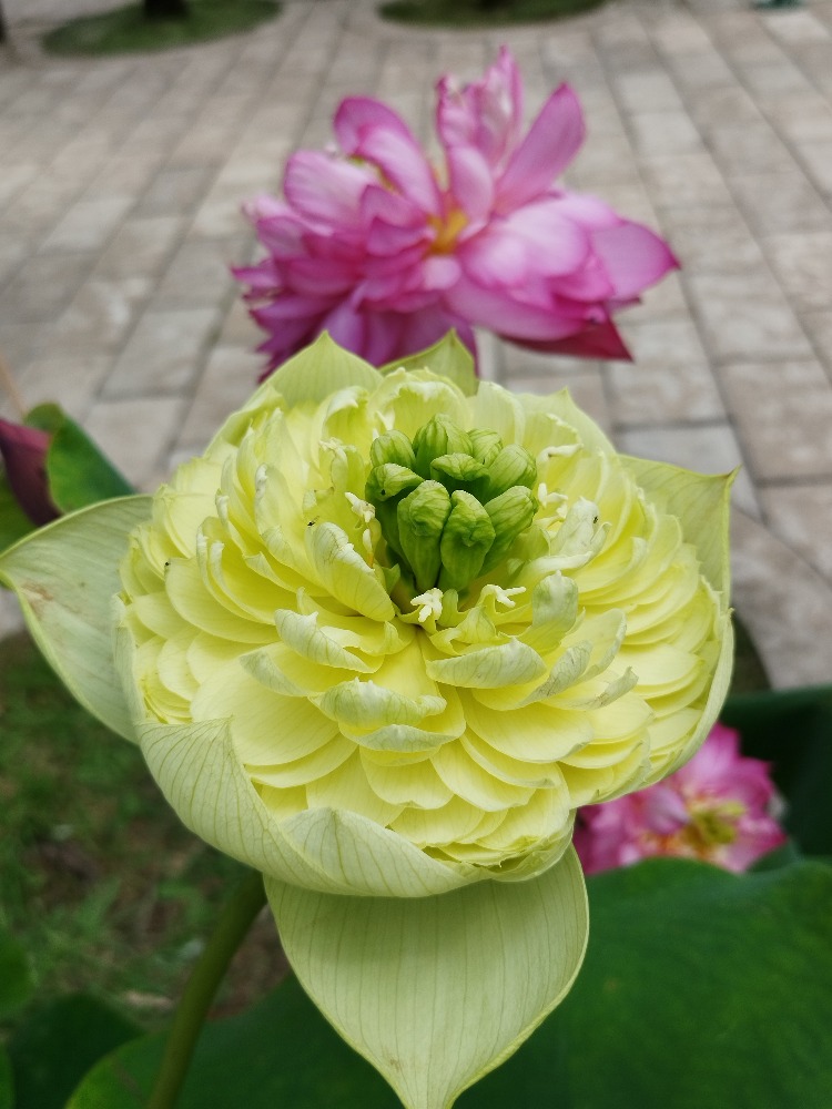 图片关键词