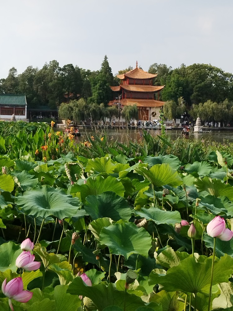 图片关键词