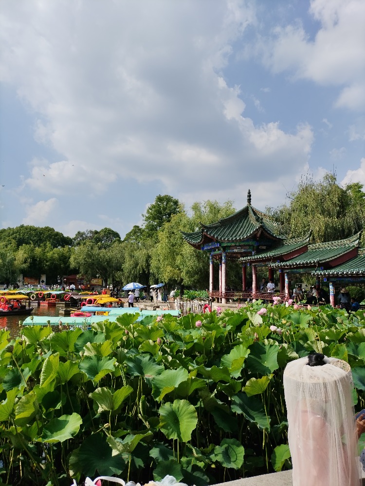 图片关键词