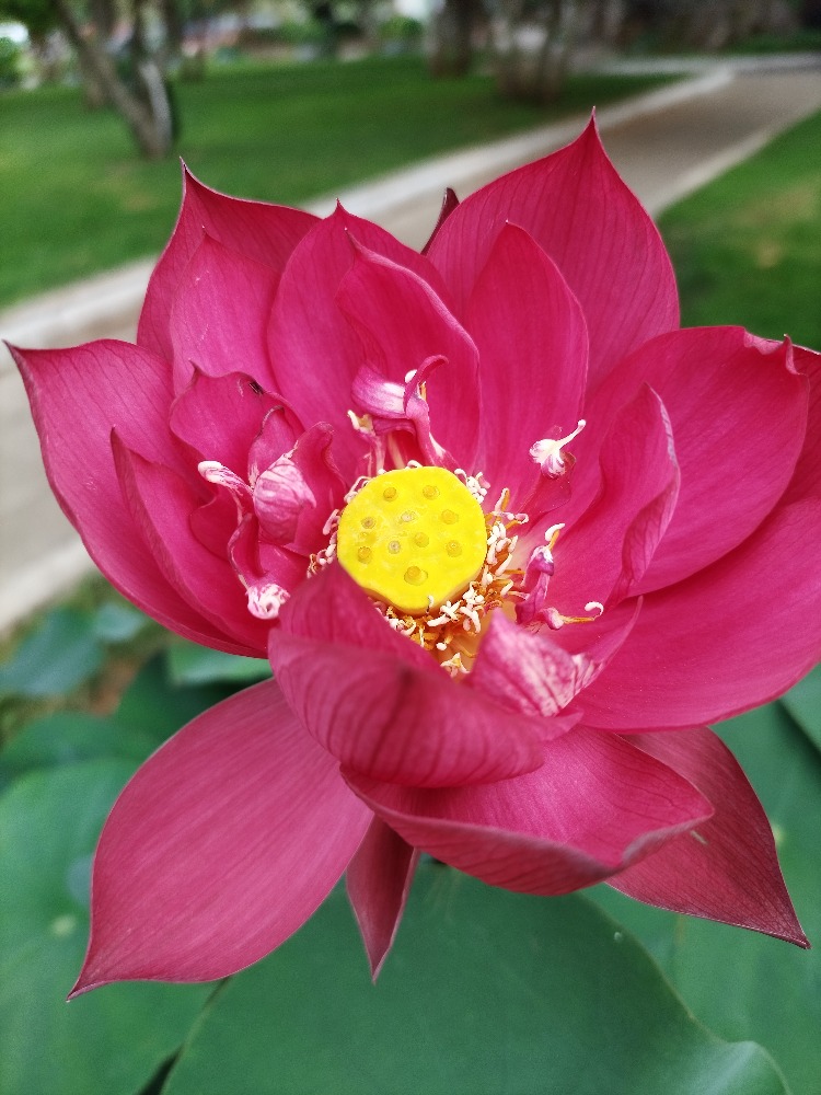 图片关键词