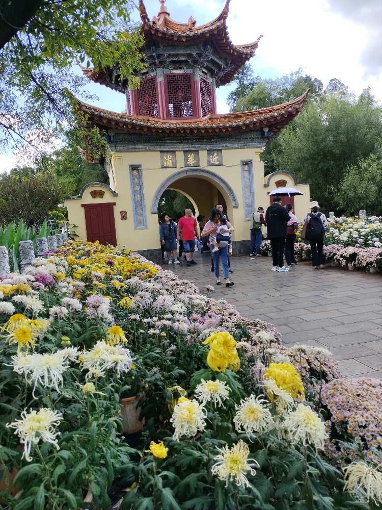 图片关键词