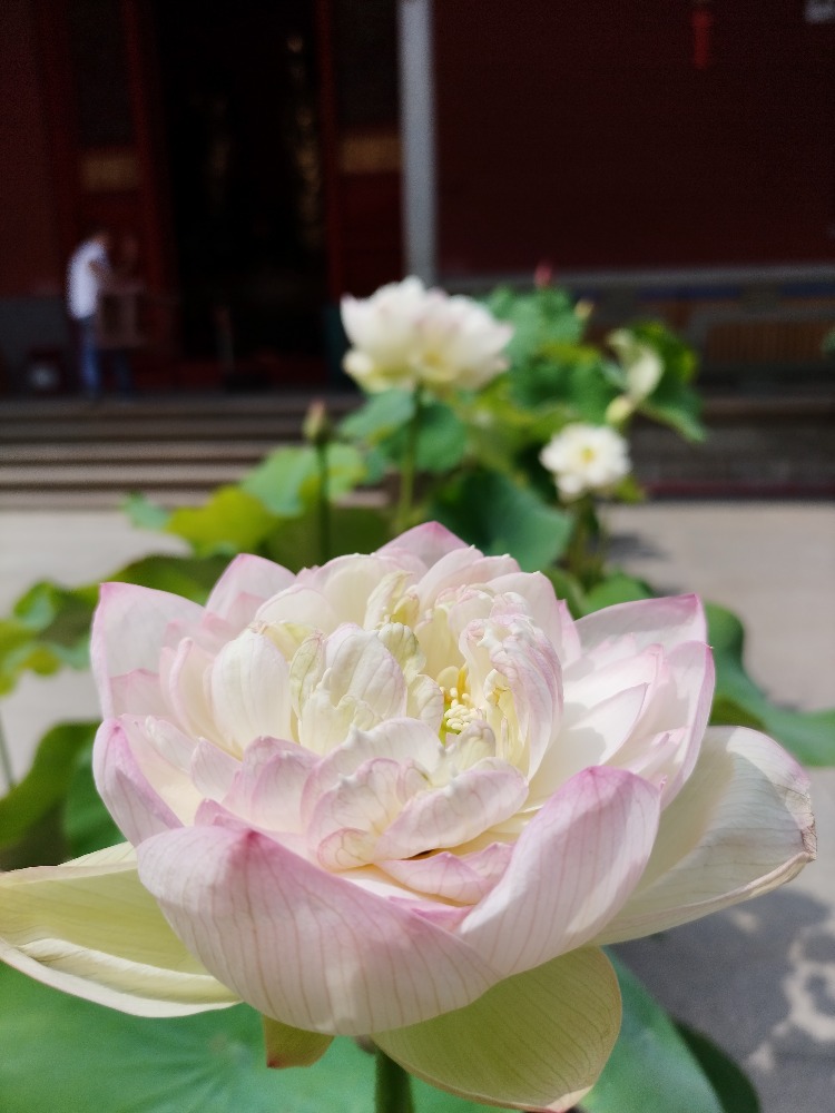 图片关键词